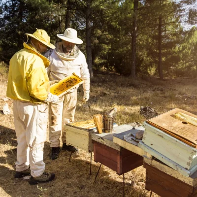 beekeepers (1)