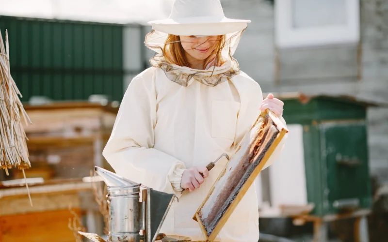 woman-beekeeper-looks-after-bees-wearing-coverall-woman-work-apiary woman-beekeeper-looks-after-bees-wearing-coverall-woman-work-apiary